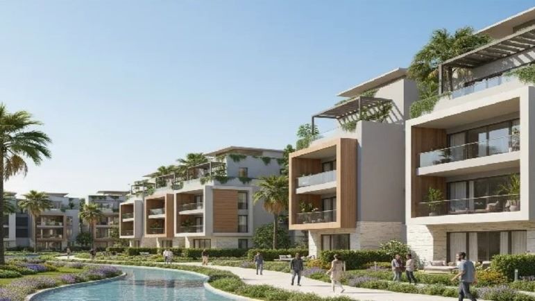 مشروع Beginnings زايد الجديدة
