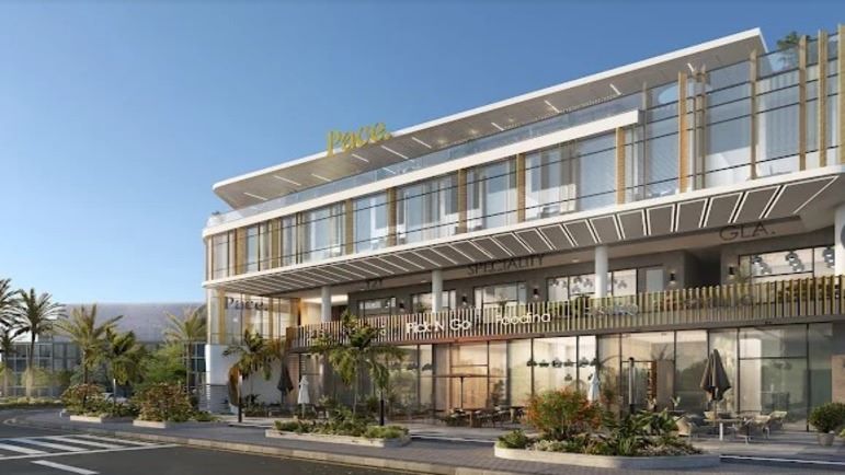 Mall Pace El Sheikh Zayed