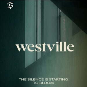 كمبوند ويست فيل أكتوبر Compound WestVille October