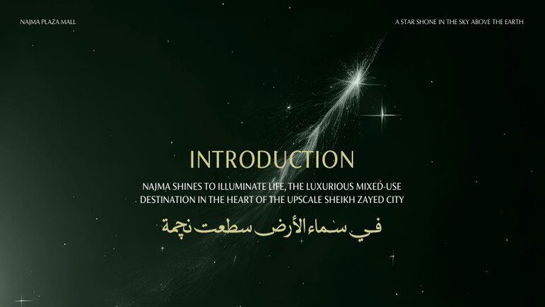 مشروع نجمة بلازا الشيخ زايد