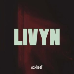 كمبوند ليفين الشروق Compound Livyn El Shorouk