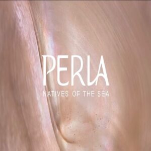 قرية بيرلا الساحل الشمالي Perla North Coast